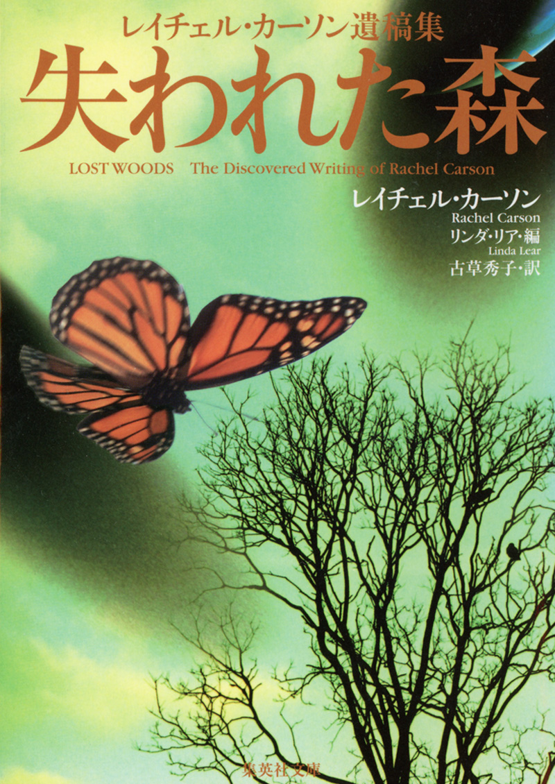 失われた森 2009